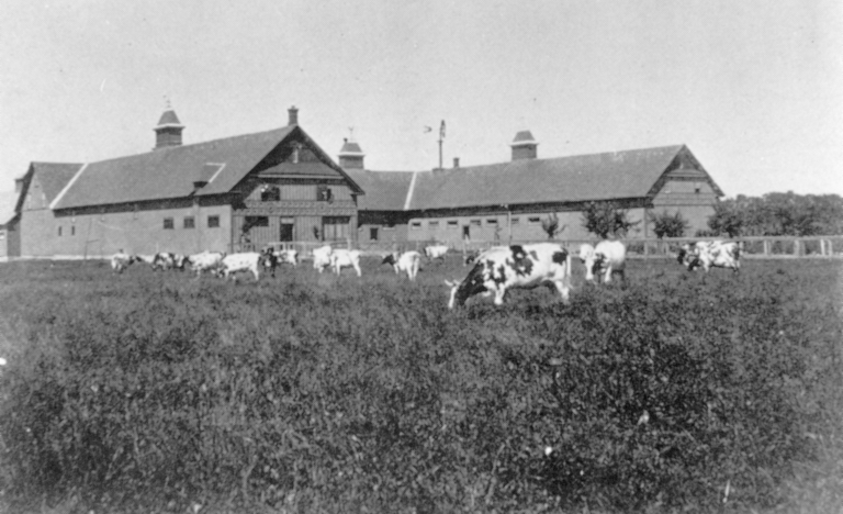 W.W. Ogilvie's stable and barn, "Rapids Farm", Lasalle, QC, 1899 