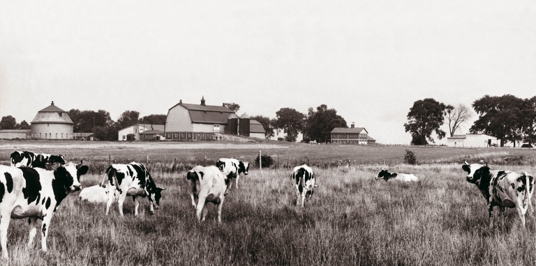 The farm buildings in the 1950s 