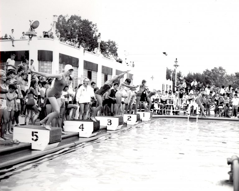 Swimming Olympics Swimming Olympics